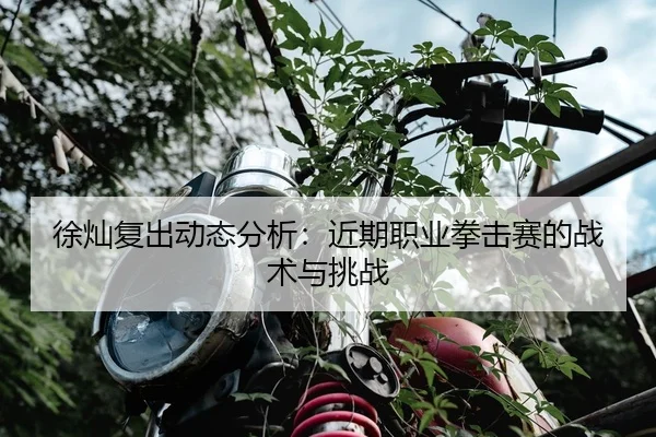 徐灿复出动态分析：近期职业拳击赛的战术与挑战