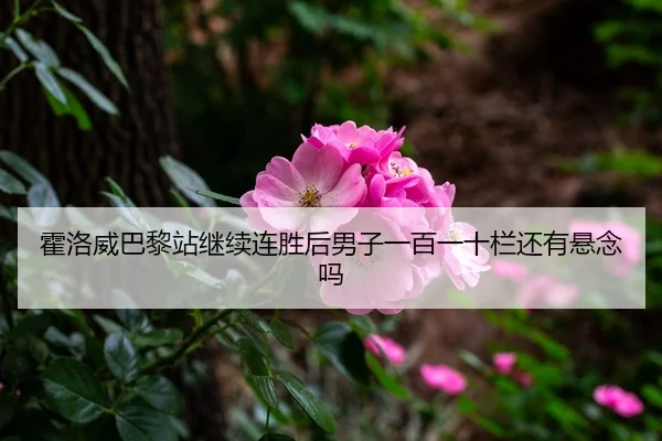 霍洛威巴黎站继续连胜后男子一百一十栏还有悬念吗
