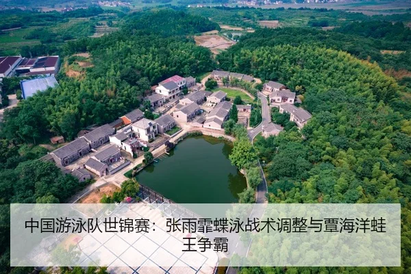 中国游泳队世锦赛：张雨霏蝶泳战术调整与覃海洋蛙王争霸