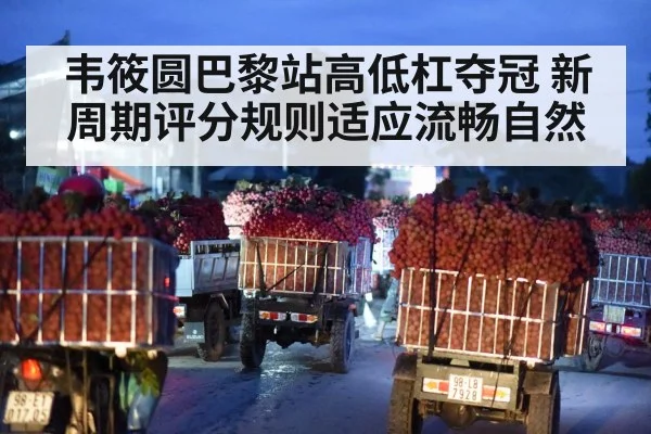 韦筱圆巴黎站高低杠夺冠 新周期评分规则适应流畅自然